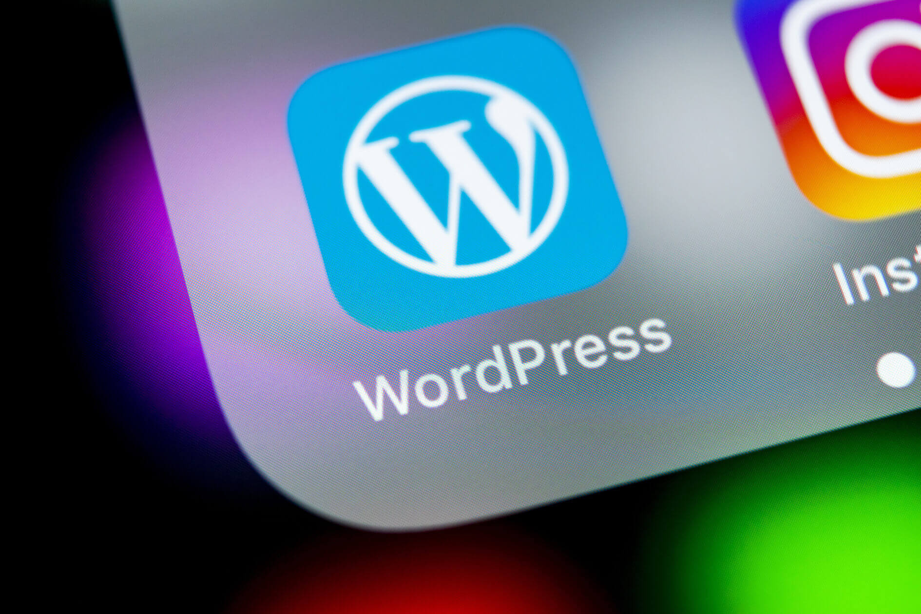 【WordPress初心者卒業!】欲しい情報をデータベースから取得する方法